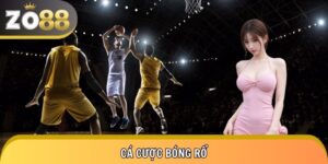 Cá Cược Bóng Rổ NBA, EuroLeague - Tỷ Lệ Cao, Live Mỗi Ngày
