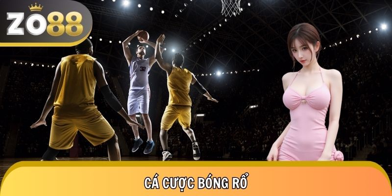 Cá Cược Bóng Rổ NBA, EuroLeague - Tỷ Lệ Cao, Live Mỗi Ngày