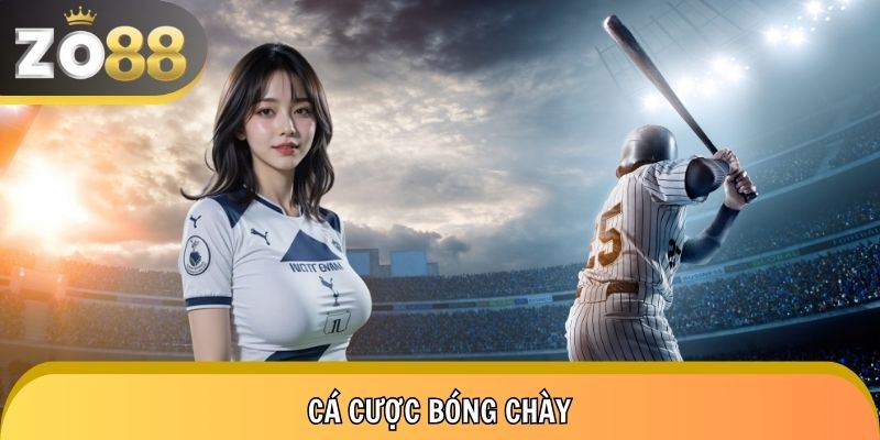 Cá Cược Bóng Chày - 13.000 Lượt Chơi Cùng Kèo Cược Đa Dạng