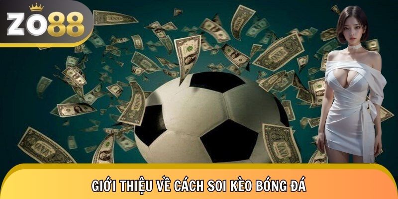 Tổng quan về cách soi kèo bóng đá trước khi xuống tiền