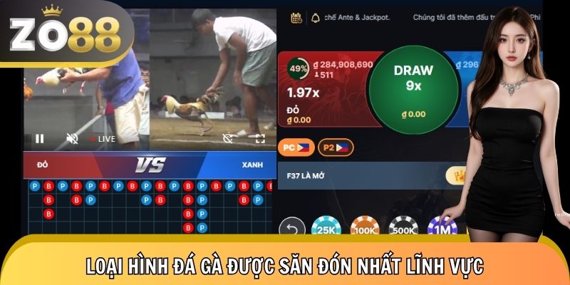 Hình thức đá gà gây nghiện cho các dân chơi chuyên nghiệp