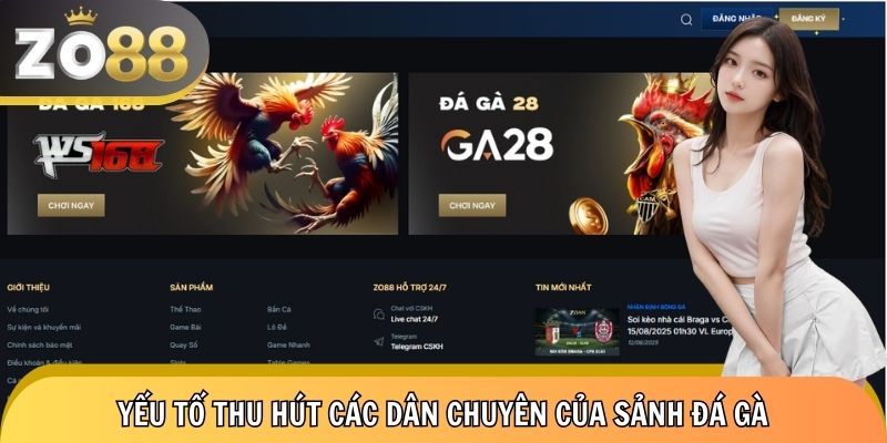 Điểm lợi cho hội viên khi tham gia sảnh cược