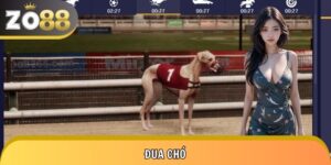Đua Chó Zo88 - Đường Đua Cảm Xúc Với Hơn 5 Loại Kèo Hấp Dẫn