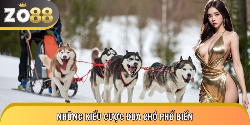 Các kèo cược đua chó đang có trên thị trường