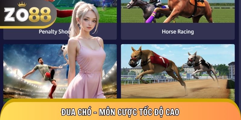 Đua chó - Một đường đua cảm xúc chỉ có ở nhà cái