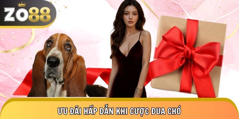 3 ưu đãi đang hot tại nhà cái uy tín Zo88
