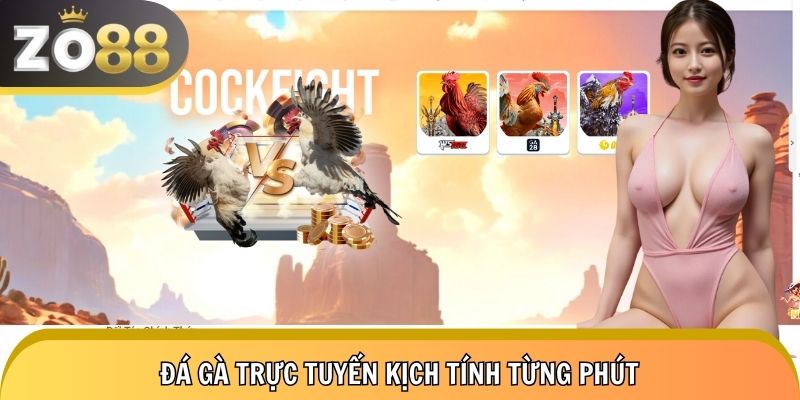 Trải nghiệm không giới hạn cùng sảnh gà Zo88